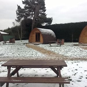 Camping Pod No pets allowed